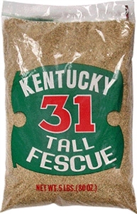 16205 Kentucky-31 Grass Seed, 5 lb Bag